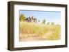 Dune Grasses with Beach House-soupstock-Framed Photographic Print