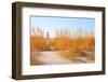 Dune Grasses with Lighthouse in Distance-soupstock-Framed Photographic Print