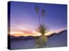 Dune Landscape at Dusk, White Sands National Monument, New Mexico, USA-Massimo Borchi-Stretched Canvas