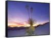 Dune Landscape at Dusk, White Sands National Monument, New Mexico, USA-Massimo Borchi-Framed Stretched Canvas