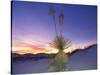 Dune Landscape at Dusk, White Sands National Monument, New Mexico, USA-Massimo Borchi-Stretched Canvas