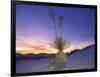 Dune Landscape at Dusk, White Sands National Monument, New Mexico, USA-Massimo Borchi-Framed Photographic Print