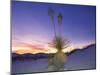 Dune Landscape at Dusk, White Sands National Monument, New Mexico, USA-Massimo Borchi-Mounted Photographic Print