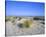 Dune landscape on the beach, Langeoog, East Frisian Islands, Lower Saxony, Germany-null-Stretched Canvas