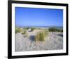 Dune landscape on the beach, Langeoog, East Frisian Islands, Lower Saxony, Germany-null-Framed Art Print