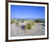 Dune landscape on the beach, Langeoog, East Frisian Islands, Lower Saxony, Germany-null-Framed Art Print