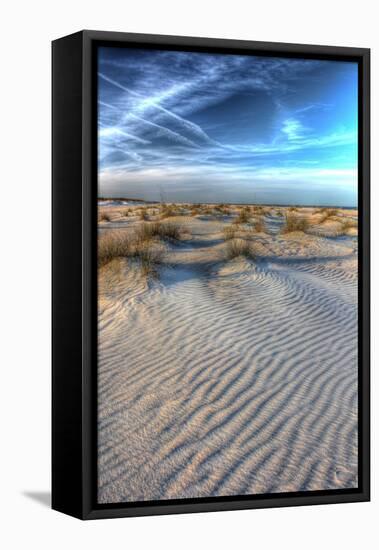 Dune Lines Vertical-Robert Goldwitz-Framed Stretched Canvas