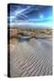 Dune Lines Vertical-Robert Goldwitz-Stretched Canvas