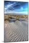 Dune Lines Vertical-Robert Goldwitz-Mounted Photographic Print