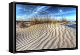 Dune Lines-Robert Goldwitz-Framed Stretched Canvas