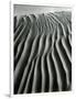 Dune, Oceano, 1934-Brett Weston-Framed Photographic Print