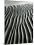 Dune, Oceano, 1934-Brett Weston-Mounted Photographic Print