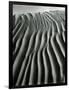 Dune, Oceano, 1934-Brett Weston-Framed Photographic Print