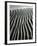 Dune, Oceano, 1934-Brett Weston-Framed Photographic Print