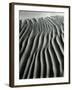 Dune, Oceano, 1934-Brett Weston-Framed Photographic Print