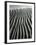 Dune, Oceano, 1934-Brett Weston-Framed Photographic Print