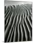 Dune, Oceano, 1934-Brett Weston-Mounted Photographic Print