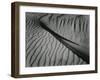 Dune, Oceano, 1936-Brett Weston-Framed Premium Photographic Print