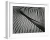 Dune, Oceano, 1936-Brett Weston-Framed Premium Photographic Print