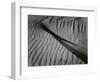 Dune, Oceano, 1936-Brett Weston-Framed Photographic Print