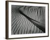 Dune, Oceano, 1936-Brett Weston-Framed Photographic Print