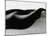 Dune, Oceano, 1984-Brett Weston-Mounted Premium Photographic Print