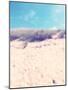 Dune on the Baltic Beach Close Graal-MŸritz-Frina-Mounted Photographic Print