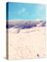 Dune on the Baltic Beach Close Graal-MŸritz-Frina-Stretched Canvas