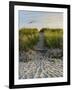 Dune Path Gull-Bruce Dumas-Framed Giclee Print