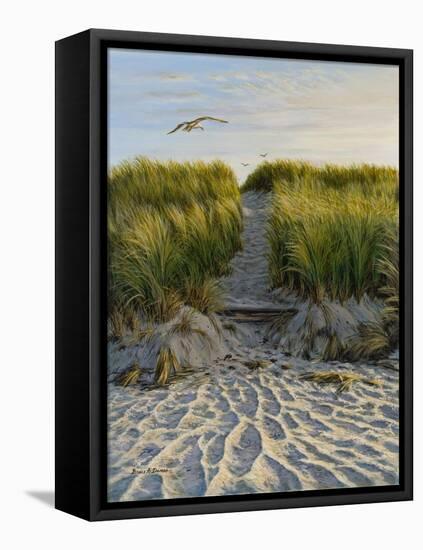 Dune Path Gull-Bruce Dumas-Framed Stretched Canvas