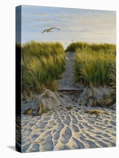 Dune Path Gull-Bruce Dumas-Stretched Canvas