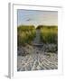 Dune Path Gull-Bruce Dumas-Framed Giclee Print