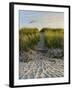 Dune Path Gull-Bruce Dumas-Framed Giclee Print