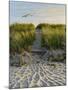 Dune Path Gull-Bruce Dumas-Mounted Giclee Print