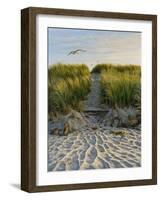 Dune Path Gull-Bruce Dumas-Framed Giclee Print