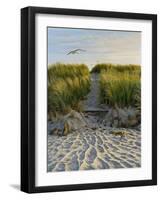 Dune Path Gull-Bruce Dumas-Framed Giclee Print