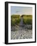 Dune Path Gull-Bruce Dumas-Framed Giclee Print