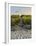 Dune Path Gull-Bruce Dumas-Framed Giclee Print