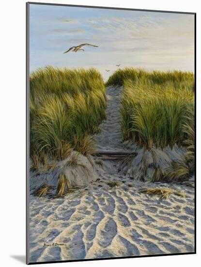 Dune Path Gull-Bruce Dumas-Mounted Giclee Print