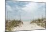 Dune Path-Mary Lou Johnson-Mounted Photo