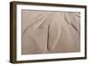 Dune Patterns-Michael Blanchette Photography-Framed Giclee Print