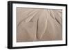 Dune Patterns-Michael Blanchette Photography-Framed Giclee Print