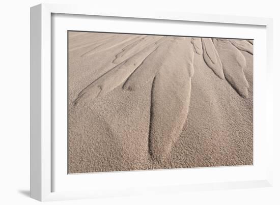 Dune Patterns-Michael Blanchette Photography-Framed Giclee Print