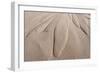 Dune Patterns-Michael Blanchette Photography-Framed Giclee Print