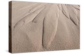 Dune Patterns-Michael Blanchette Photography-Stretched Canvas