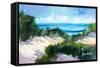 Dune Shoreside-Jane Slivka-Framed Stretched Canvas