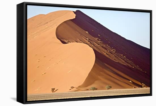 Dune, Sossusvlei, 2017-Eric Meyer-Framed Stretched Canvas