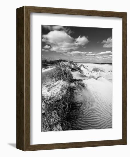 Dune Swale-Eve Turek-Framed Art Print