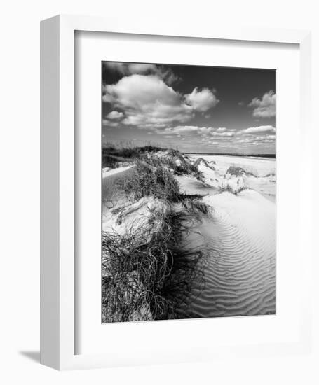 Dune Swale-Eve Turek-Framed Art Print