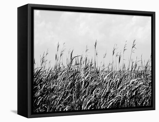 Dune Triptych III-Jeff Pica-Framed Stretched Canvas